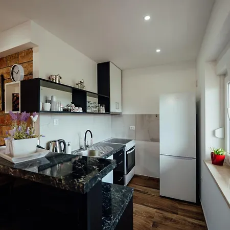 Apartman Budimir شقة